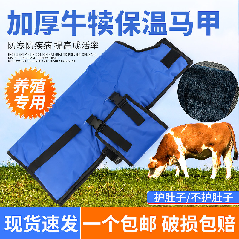 速发牛犊小温马甲防水防寒保牛衣服羔羊外套加大牛暖保犊子护肚子