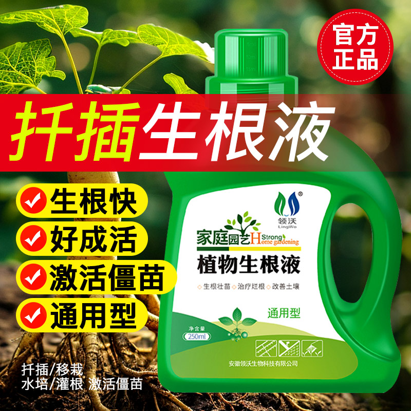 速发扦插速根液快生生根剂玫瑰月季花卉植果物树通用型移栽发根剂
