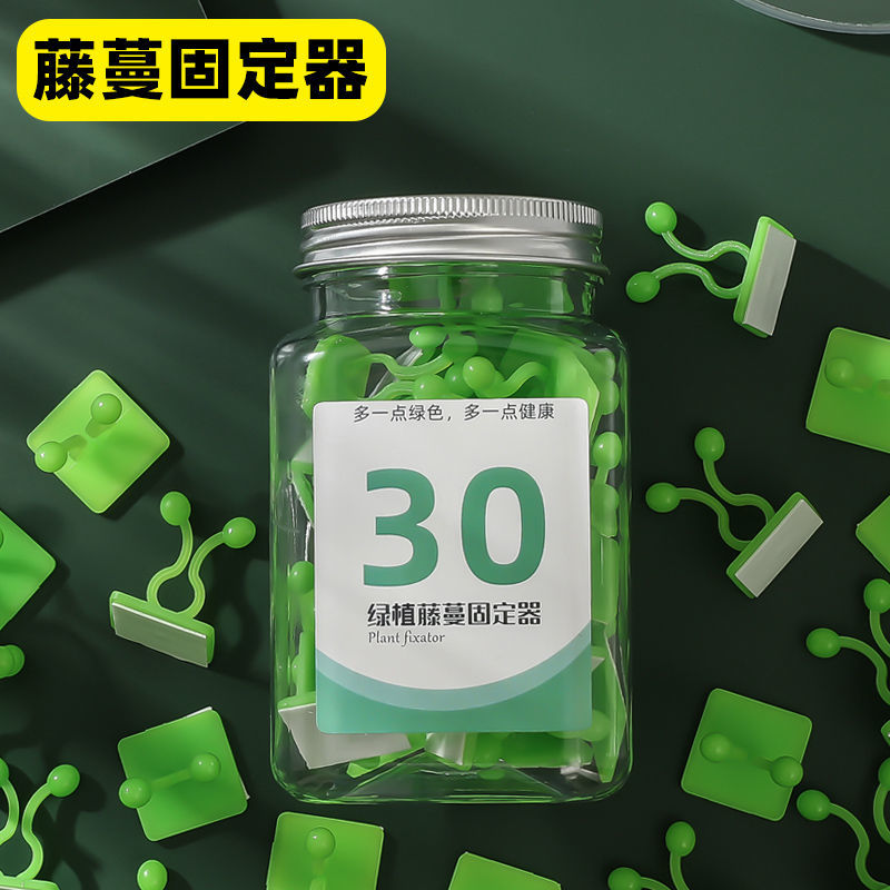 速发绿萝蔓藤免植固定器绿钉打孔贴墙攀爬墙上神器自粘挂钩理线夹