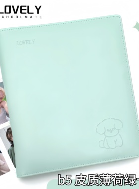 LOVELY B5皮质薄荷绿卡册收藏卡拍立得明信片多尺寸内页收纳册