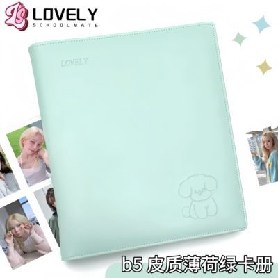 LOVELY B5皮质薄荷绿卡册收藏卡拍立得明信片多尺寸内页收纳册