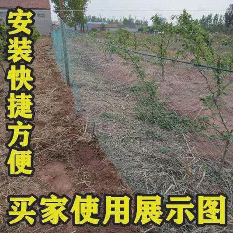 速发防鸟网拦鸡网养鸡网攀爬围栏爬藤网尼龙网隔离网防飞网