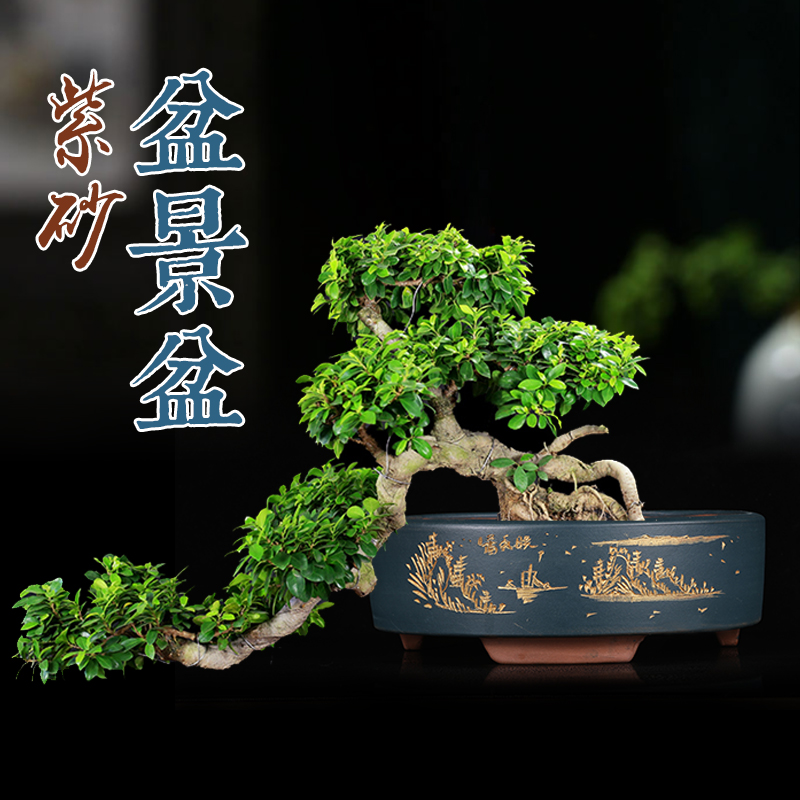 速发花盆陶瓷大号紫砂盆景盆特口径大大号假盆花山盆景盆菖蒲盆景