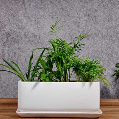 一个包邮大号长方形30厘米带底盘底托花盆阳台种菜盆白色红色黑色