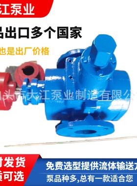 YCB-20/0.6圆弧齿轮油泵润滑油炼油厂三相380低噪音抽油泵 柴油泵