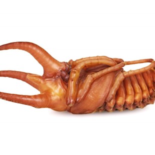 新品牧野虫社初级发酵木屑甲虫独角仙宠物爬宠锹甲活体垫材爬虫幼