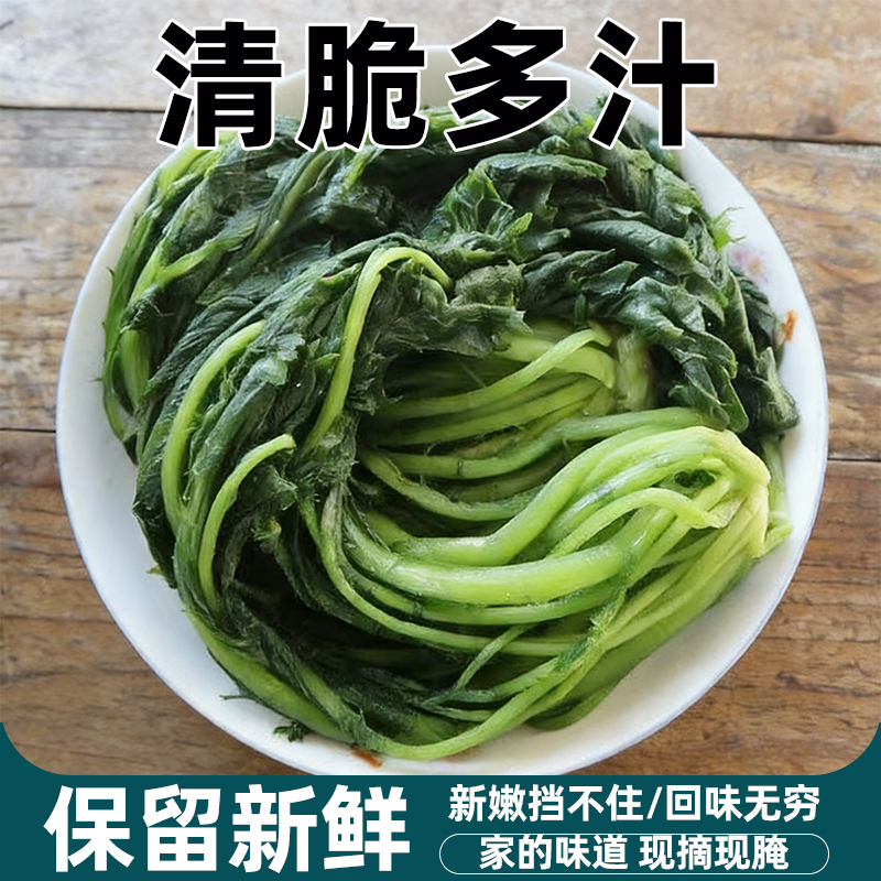 雪里红咸菜腌菜咸菜绿雪菜传承美味新鲜食材味香脆爽清香味道浓厚