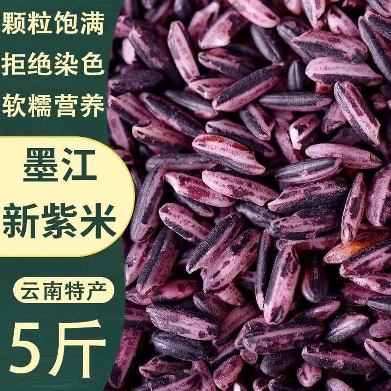 云南墨江紫米新米农家紫色糯米紫糯米无染色非血糯米黑米特产批发
