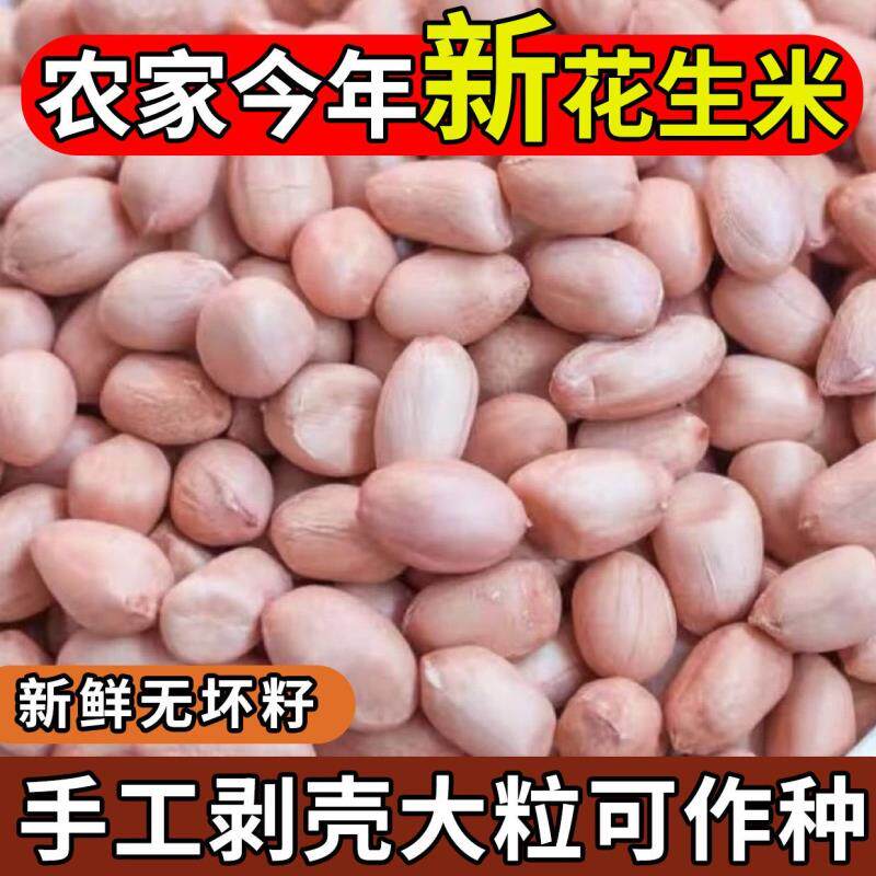 202310新货现剥花生米粉皮新鲜大粒无壳榨油白沙粉红花生仁种子