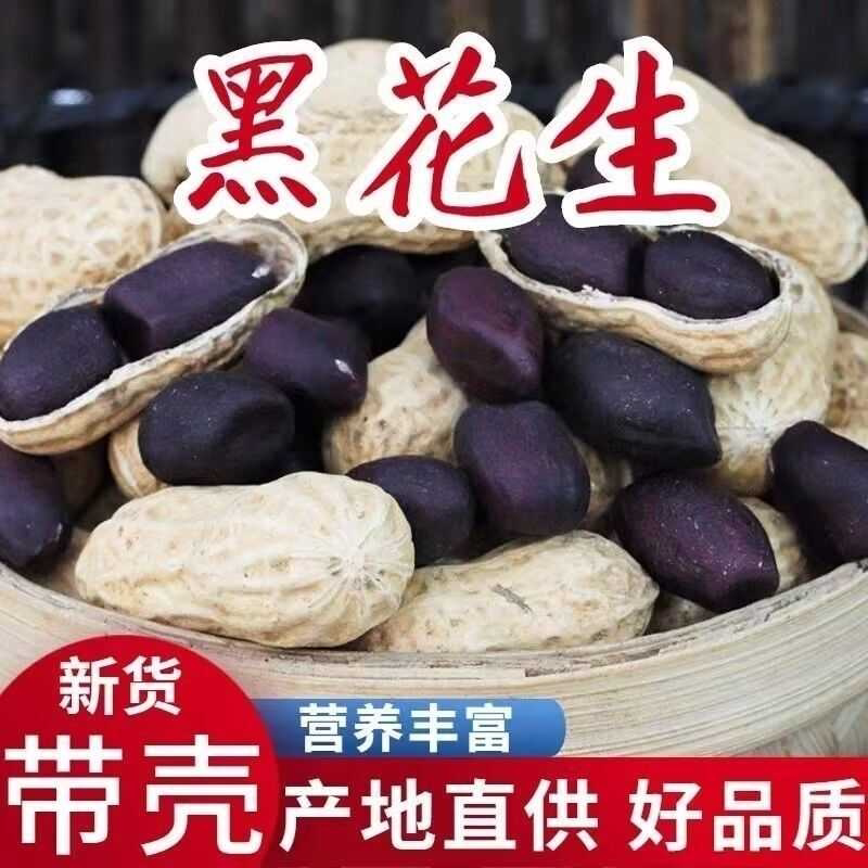 新货黑花生自家种植大粒黑花生可吃可榨油老品种富硒小黑花生小黑