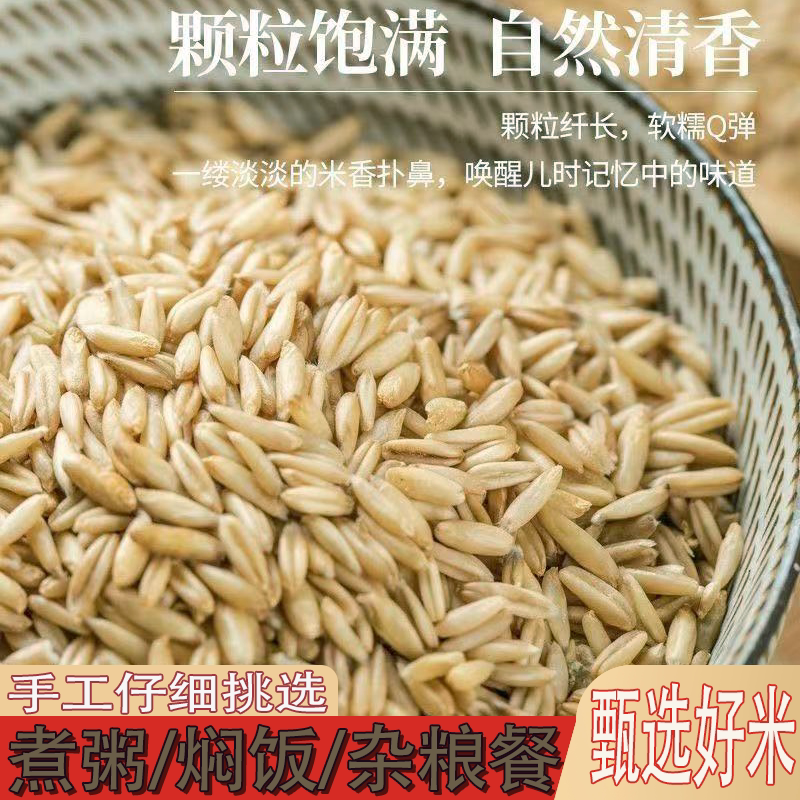 东北新鲜燕麦颗粒纤长软糯可口麦香浓郁健康营养越嚼越香老少皆宜