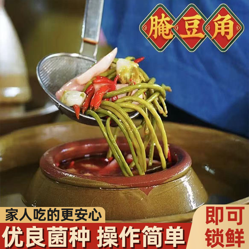 泡菜乳酸菌粉四川韩式东北酸菜酸脆爽口简单快速发酵健康美味多样