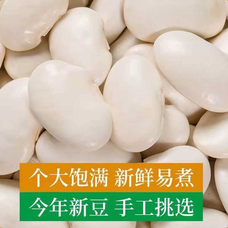 白芸豆大白豆大雪豆云南农家自种大白豆粉糯易煮粗粮大豆老少皆宜