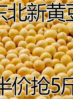【5斤特价】东北新黄豆非转基因大豆打豆浆新鲜发豆芽批发10g