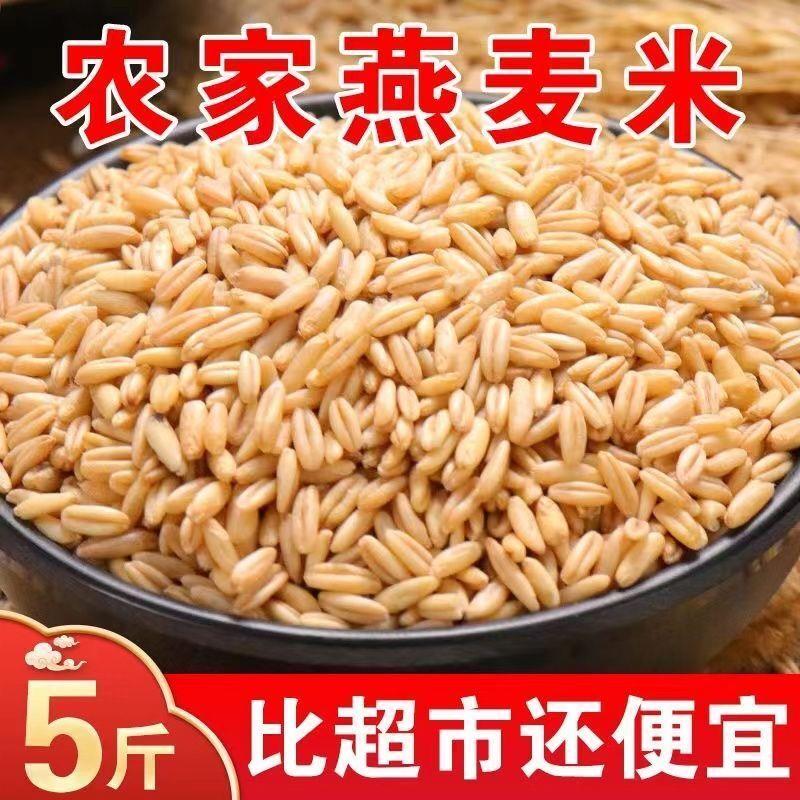 贡谷下厨房5斤东北燕麦米燕麦仁全胚芽米雀麦10斤新米批发1斤鸽子