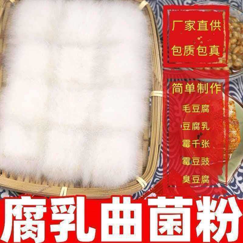 腐乳曲毛豆腐臭豆腐长白毛发酵菌豆豉毛霉菌粉家用霉豆腐