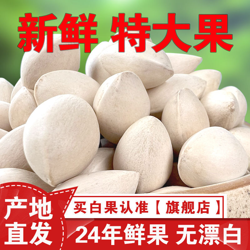 【只卖大果】新鲜白果银杏果2024当季特级带壳食用大果泰兴大佛指