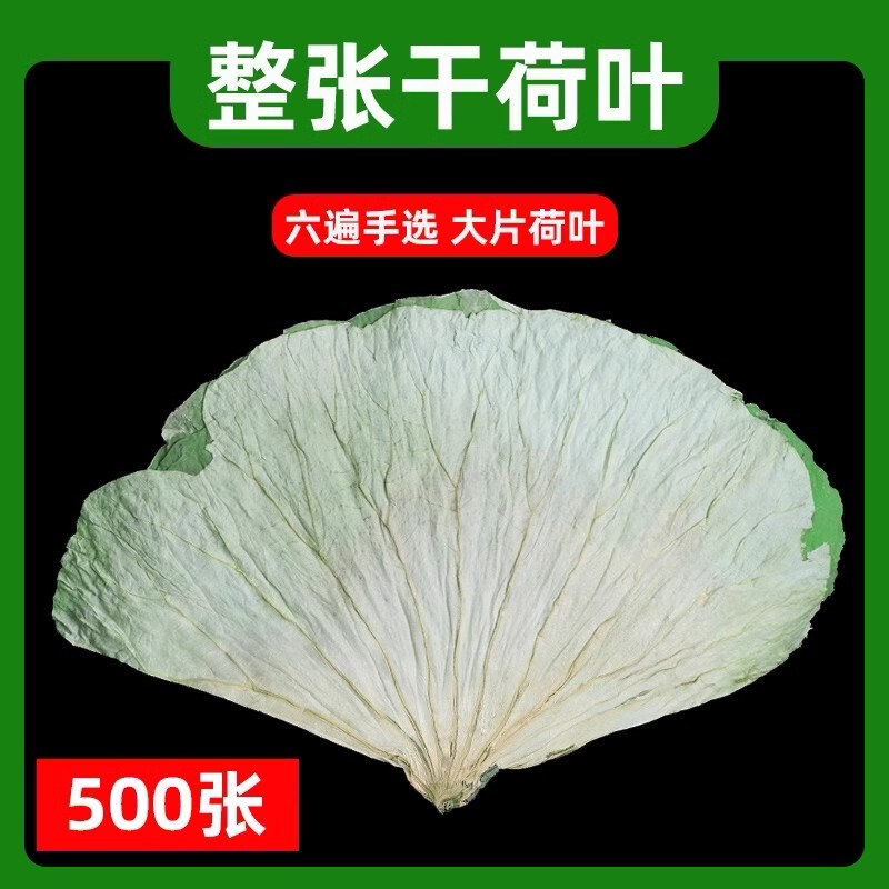 荷叶整张新鲜荷叶干整张新鲜干货泡水喝专用糯米鸡叫花鸡荷叶正宗