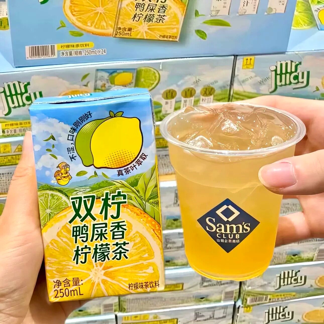 山姆鸭屎香柠檬茶办公下午茶冰镇更佳夏季冰饮会员代购官方旗舰店