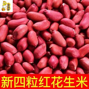 2023年红皮花生米新货小粒生花生仁农家四粒红花生米红衣花生米仁