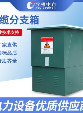 102435KV欧式电缆分支箱DFW电缆转接箱铜排不锈钢对接箱