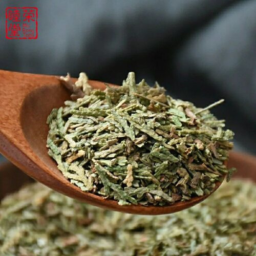侧柏叶厂家新货侧柏叶规格全代打粉晒干源头货源扁柏叶干货侧柏叶