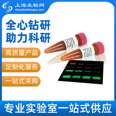 ECL PLEX G-A-R cytiva  GE填料萤光抗体进口上海生物网 PA45011