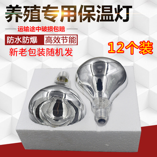 速发保温灯小鸡保暖养取猪仔猪烤灯加热育雏鹦鹉殖暖灯泡鸡用灯