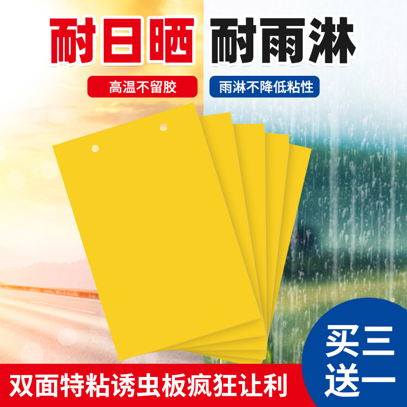 速发农用黄板虫面粘虫诱虫板贴纸捕小飞双果蝇诱灭器果园蚊子苍蝇
