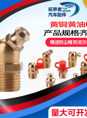 速发纯铜油嘴头黄油嘴黄油枪注油咀牛油咀M425M6M8110M1MM14MM6M1