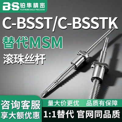 滚珠丝杆C-BSST C-BSSTK3205 3210 3232-250 300 350 400 500 600