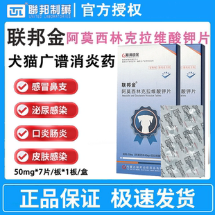 联邦金阿莫西林克拉维酸钾片犬猫消炎药宠物感冒皮肤感染泌尿感染