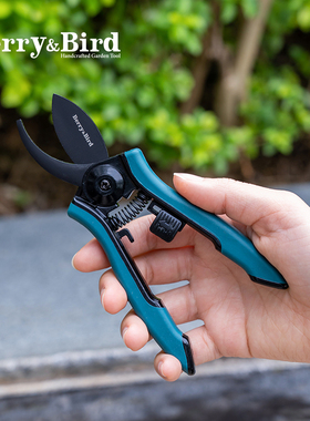 速发Ber花y特r龙弯头氟枝剪不锈钢刀片虹越园艺采花果迷你修