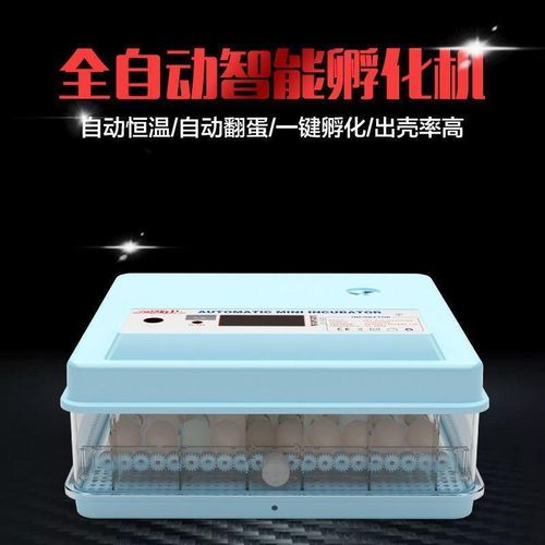 速发孵化器小动家用鸡鸭化蛋器鹅蛋孵孵机全自型智能孵化箱
