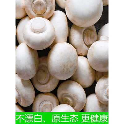 【顺丰】新鲜口蘑现摘双孢菇白蘑菇冷炼产地直发时令蔬菜