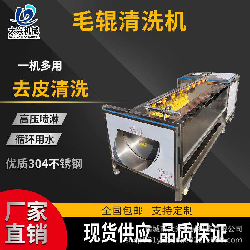 白萝卜红薯去皮清洗及苹果橘子喷淋清洗设备海蛎子毛辊清洗机