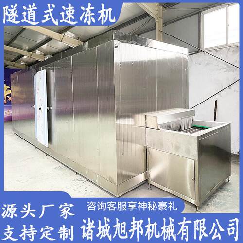 大型带鱼龙虾液氮隧道速冻机杨梅荔枝快速冷冻设备面食冻机