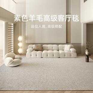 地毯客厅2024新款 极简素色高级客厅毯子耐脏吸尘沙发踩脚垫茶几毯