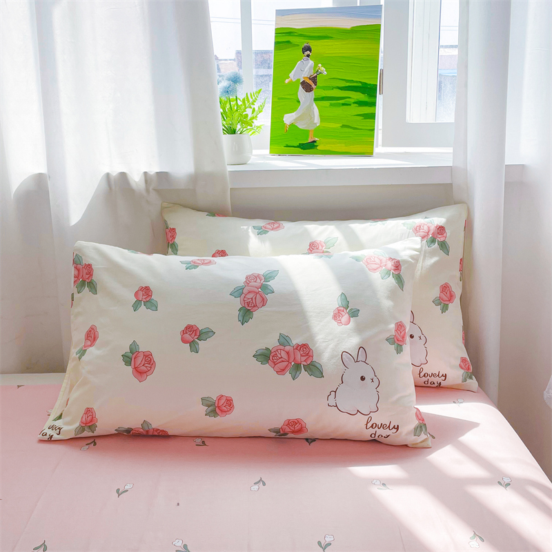 2023新款全棉枕套一对装家用纯棉枕头套单双人100棉48cm74cm春秋