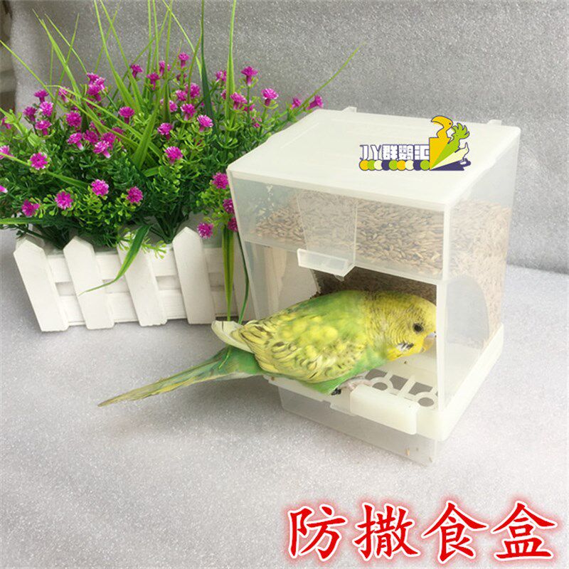 鹦鹉自动喂食器 防撒食盒 鸟食盒八哥牡丹玄凤小鹦鹉食盒5个包邮