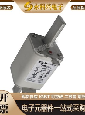 巴斯曼快速熔断器保险170M3267/3268/3269/3270/3271/3272/3273