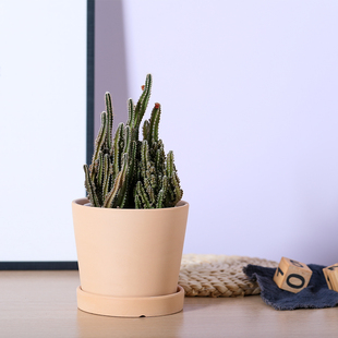 素烧DIY可手绘陶瓷素胚花盆 透气吸水多肉绿植盆栽陶土粗陶泥瓦盆