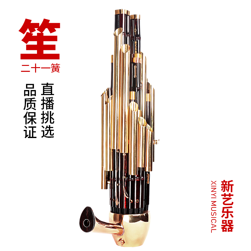 新艺 精致加键扩音21簧笙乐器大全圆笙修笙工竽乐器笙包初学者