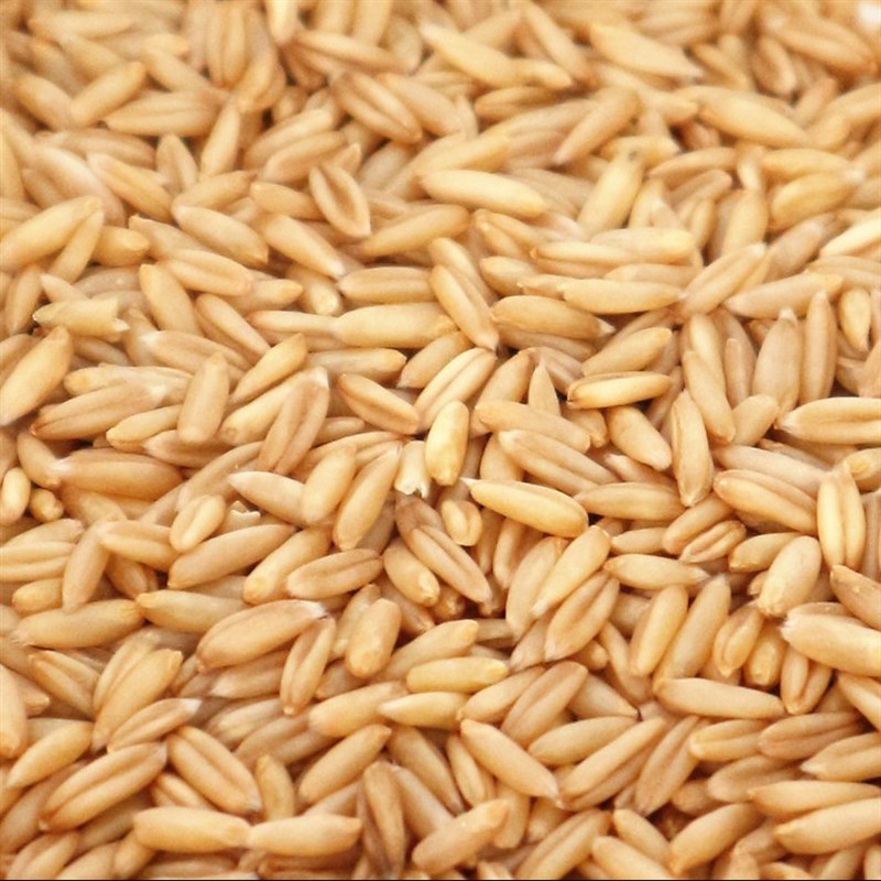 燕麦米/鸟食/鸟粮/雀麦/野麦/燕麦仁/虎皮鹦鹉/牡丹玄风1件5斤装