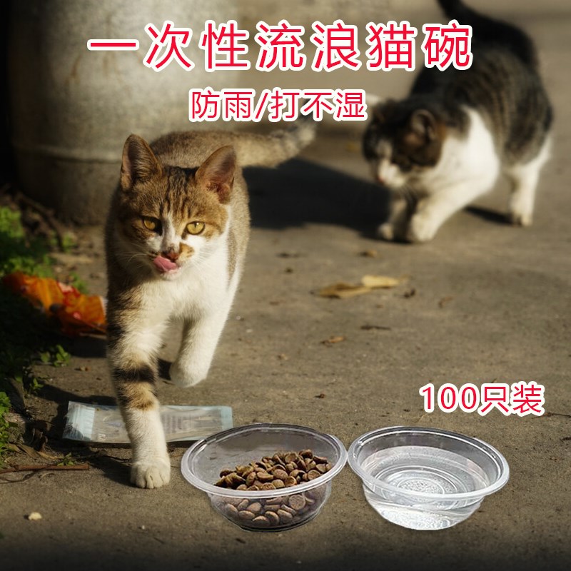 流浪猫喂食碗户外防雨防水一次性防蚂蚁喂猫碗猫食盆狗狗喝水吃饭图片
