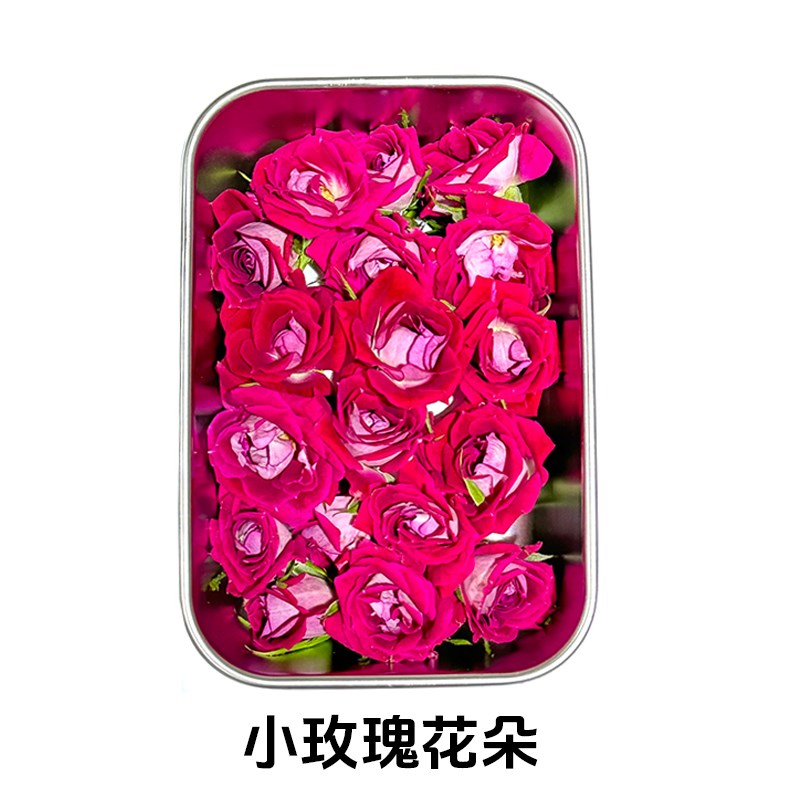 新鲜小玫瑰花朵 可食用花 多头玫瑰鲜花 酒店西餐摆盘蛋糕装饰