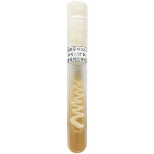 枯草芽孢杆菌 CMCC(B)63501 二代斜面 科研菌株 实验学校菌种