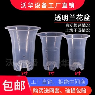 兰花绿兰盆君子兰花白色简约塑料加厚绿植6寸7寸透明圆盆加厚花盆