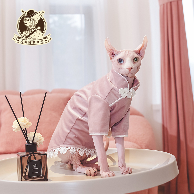 2022年秋季新款无毛猫旗袍裙德文宠物猫小猫幼猫衣服小清新蕾丝裙
