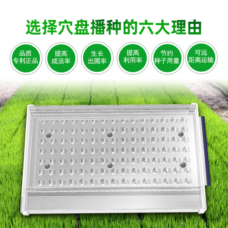 育苗盘穴盘漂盘播种器瓜果辣椒白菜玉米芥菜西兰花等原小粒种手动